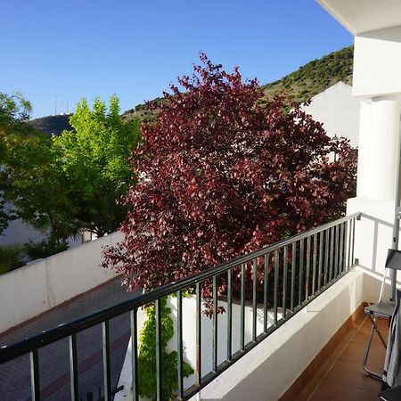 Cute And Relaxing Bed And Breakfast En Albayzin 格拉纳达 外观 照片