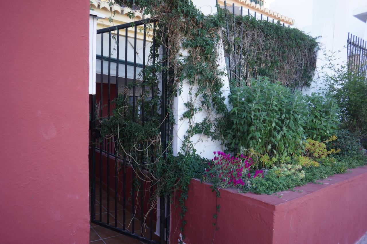 Cute And Relaxing Bed And Breakfast En Albayzin 格拉纳达 外观 照片